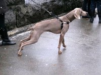 photos 2000-200902226